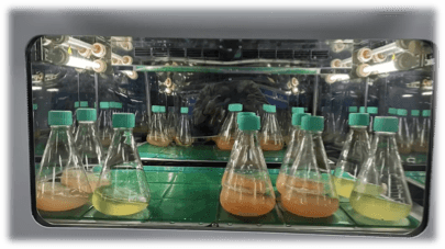 Fermentation equipment